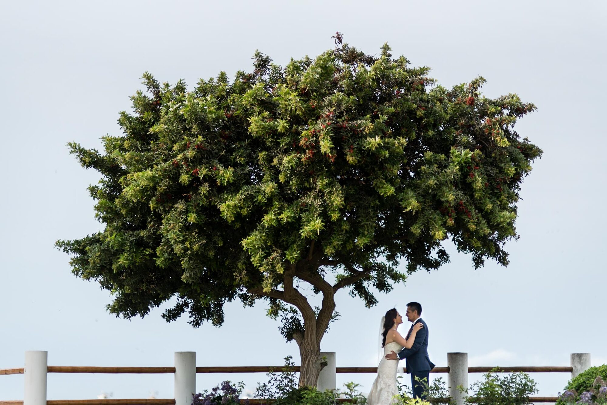 Karina y Carlos — Lucia and Fer
