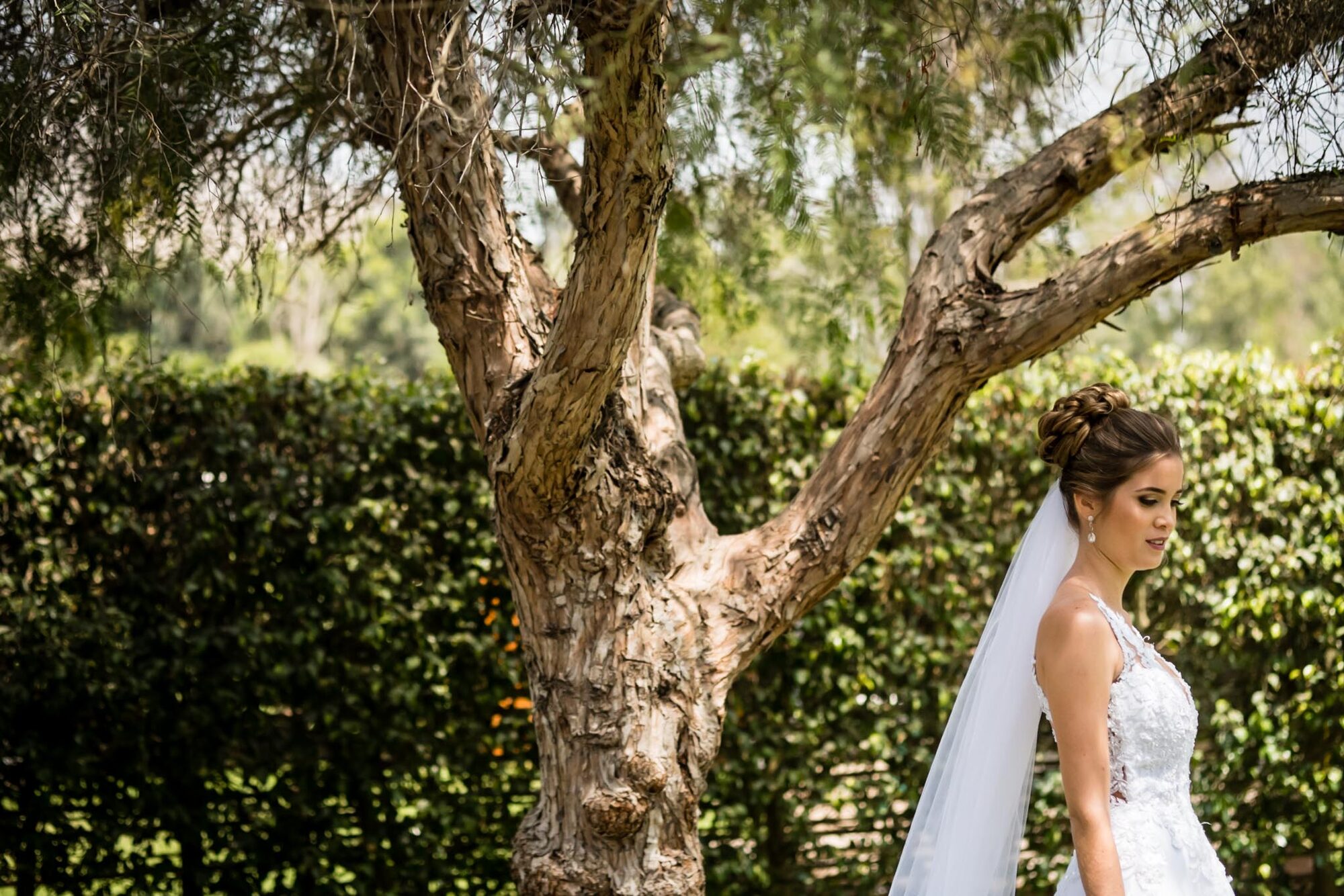 Anabella y Sandro — Lucia and Fer