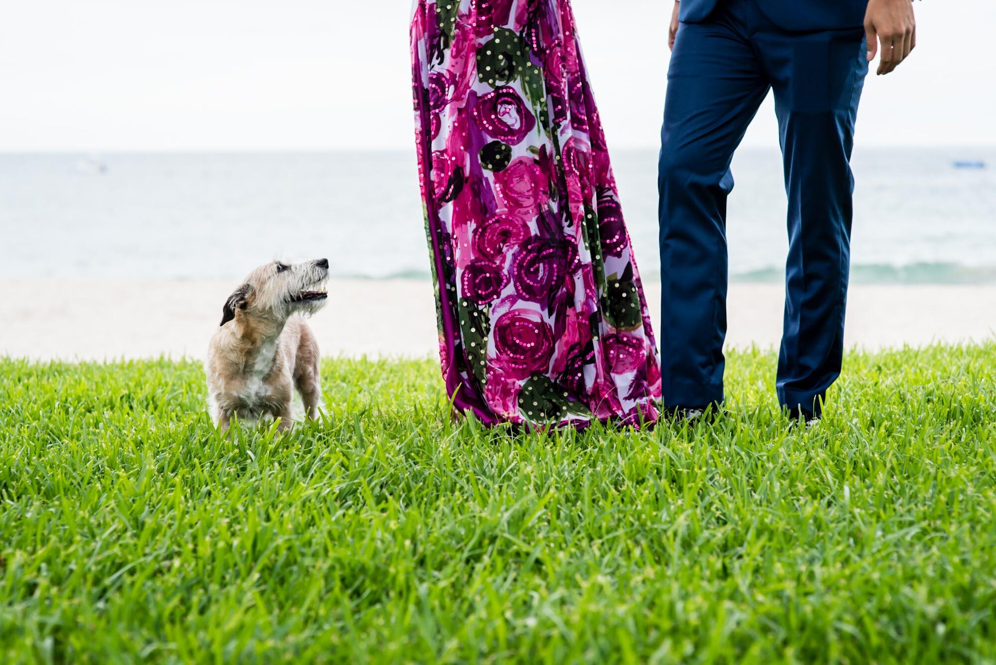 Lorena y Luis Carlos — Lucia and Fer