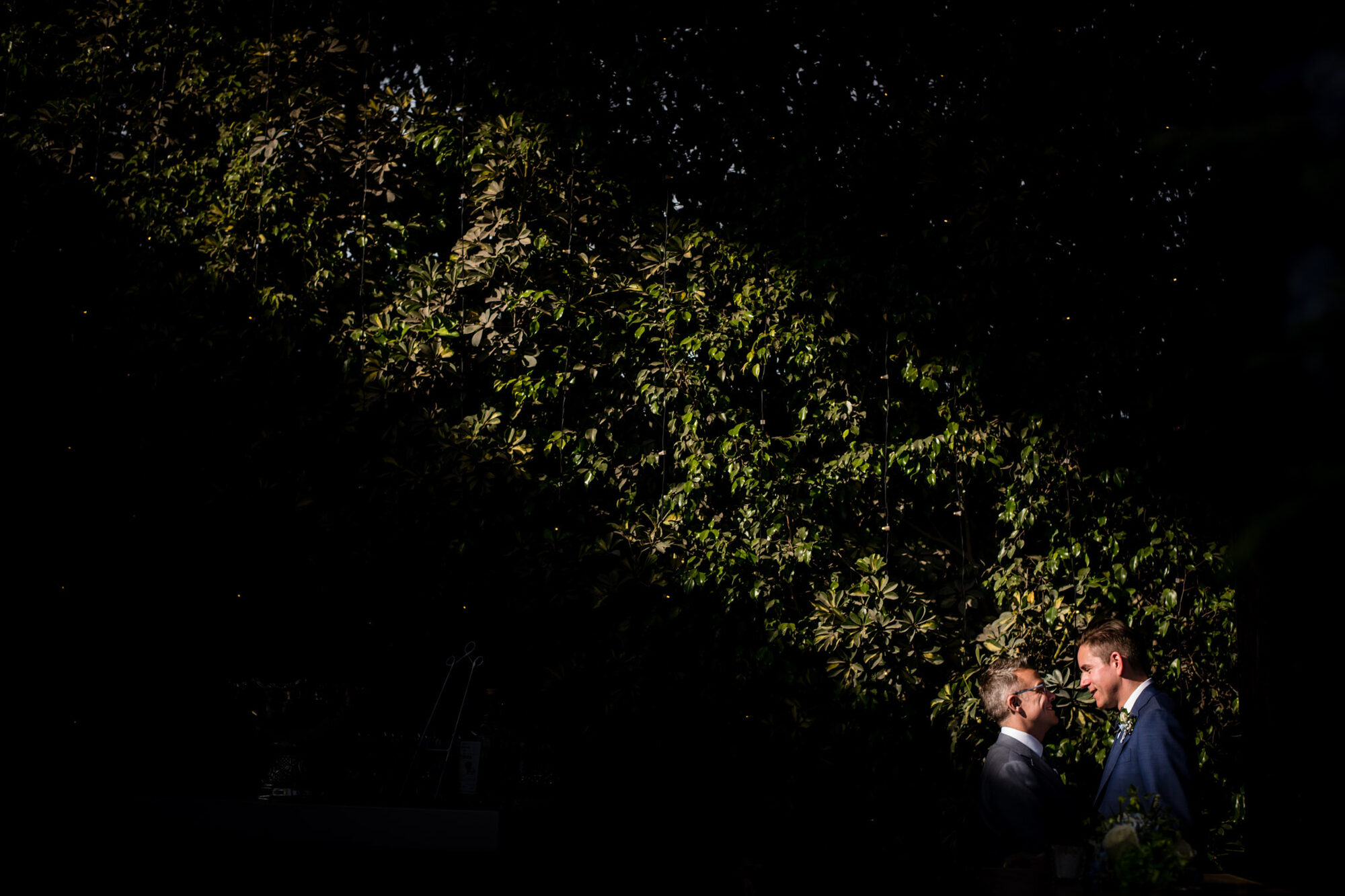 Will y Brian — Lucia and Fer