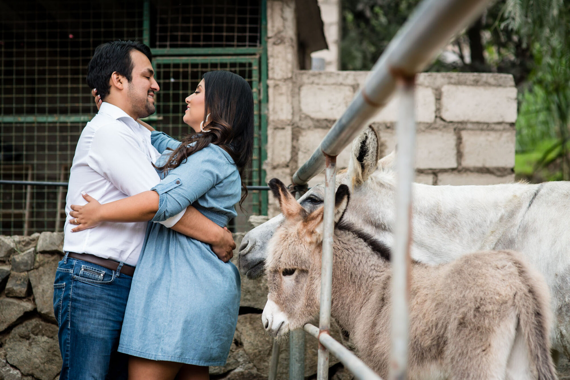Denisse y Jose Manuel — Lucia and Fer