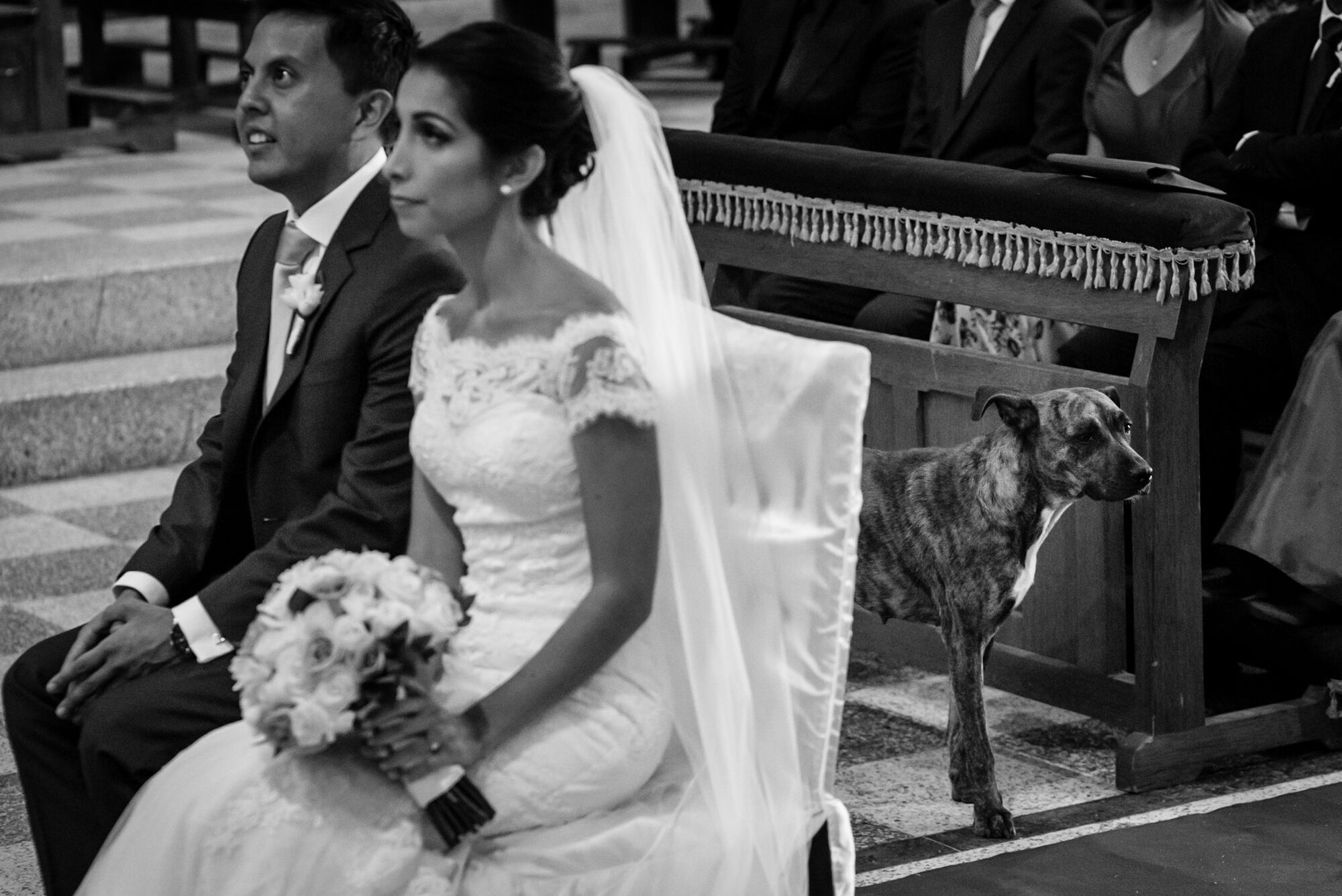 Dani y Tomás — Lucia and Fer