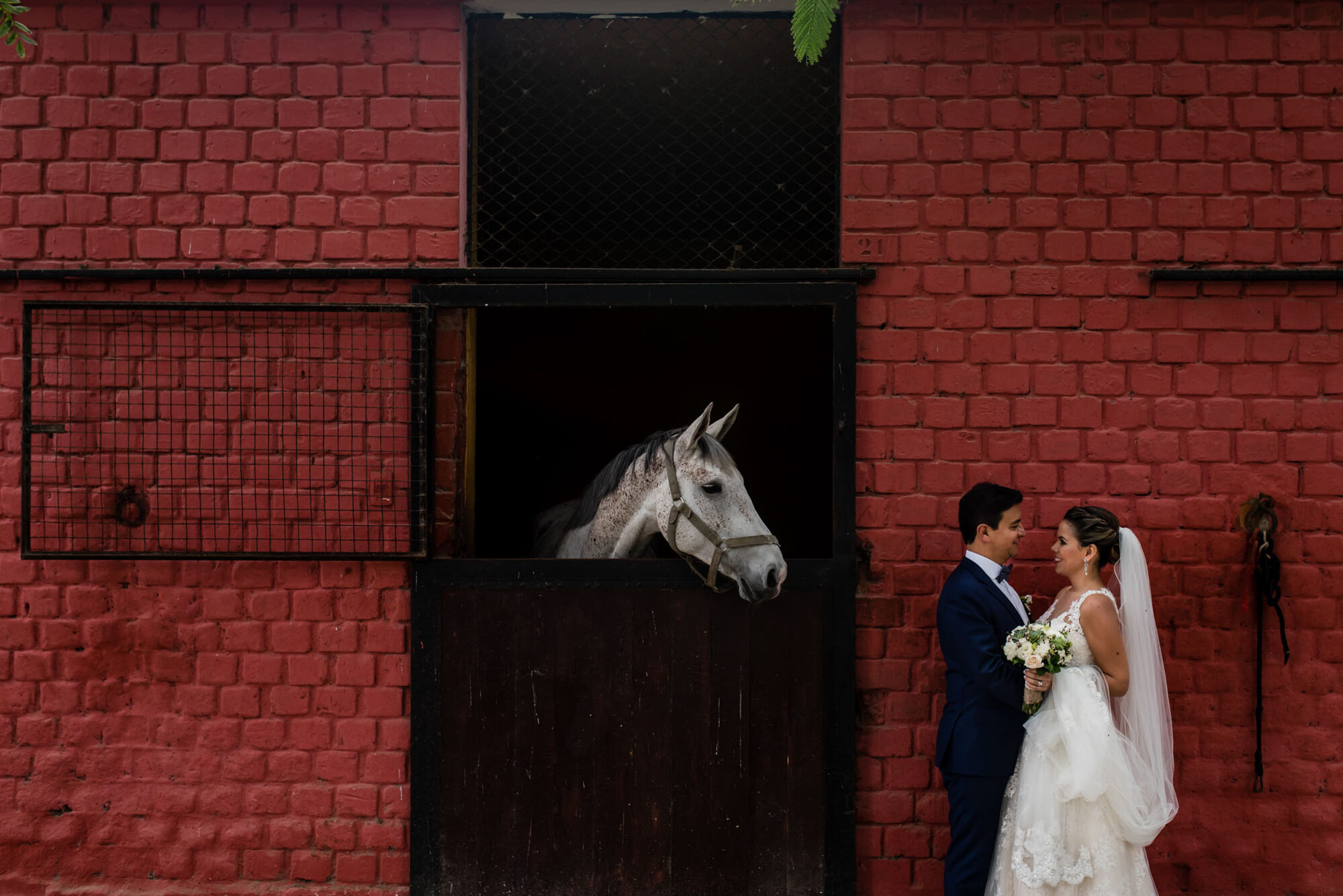 Fiore y Alex — Lucia and Fer