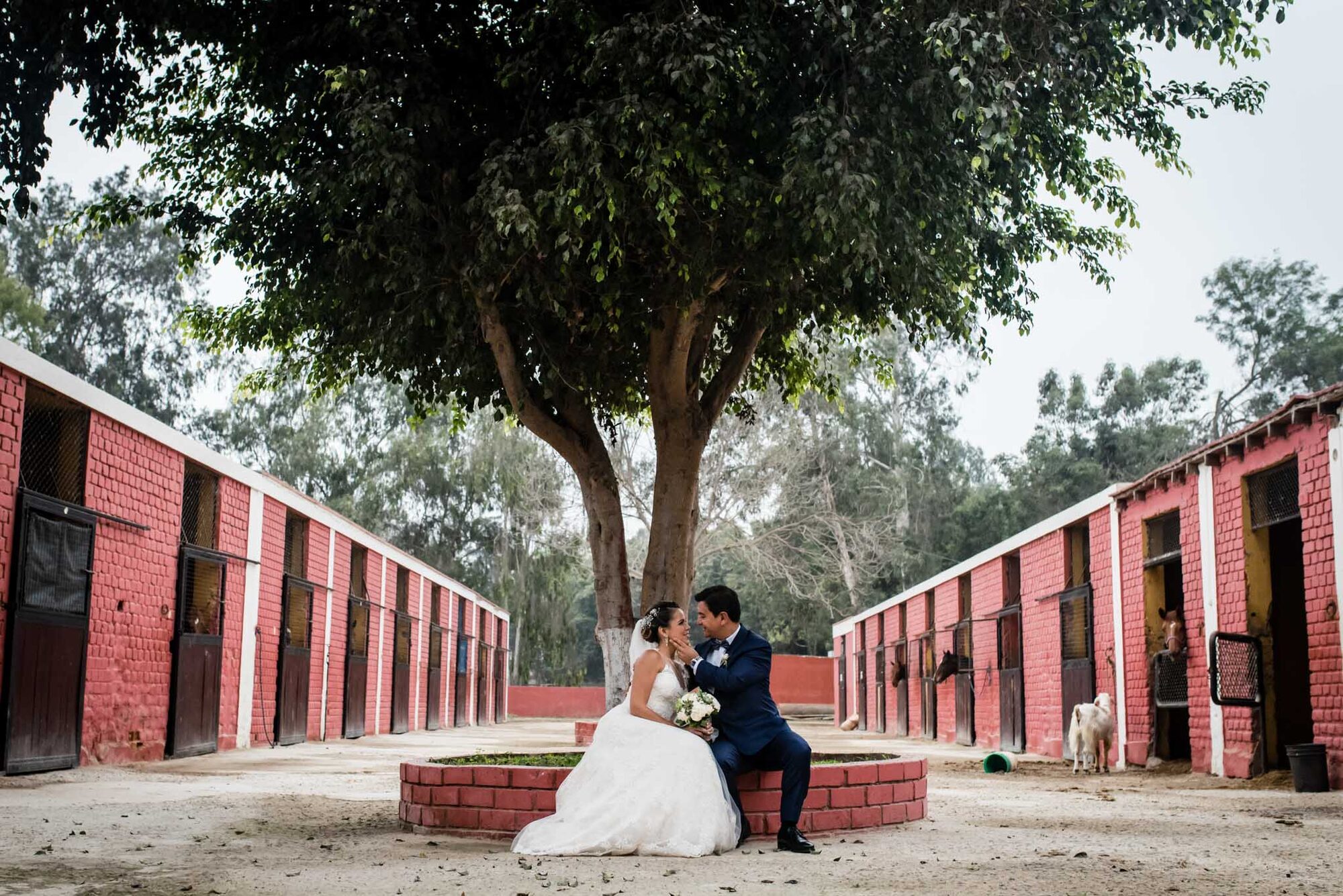 Fiore y Alex — Lucia and Fer
