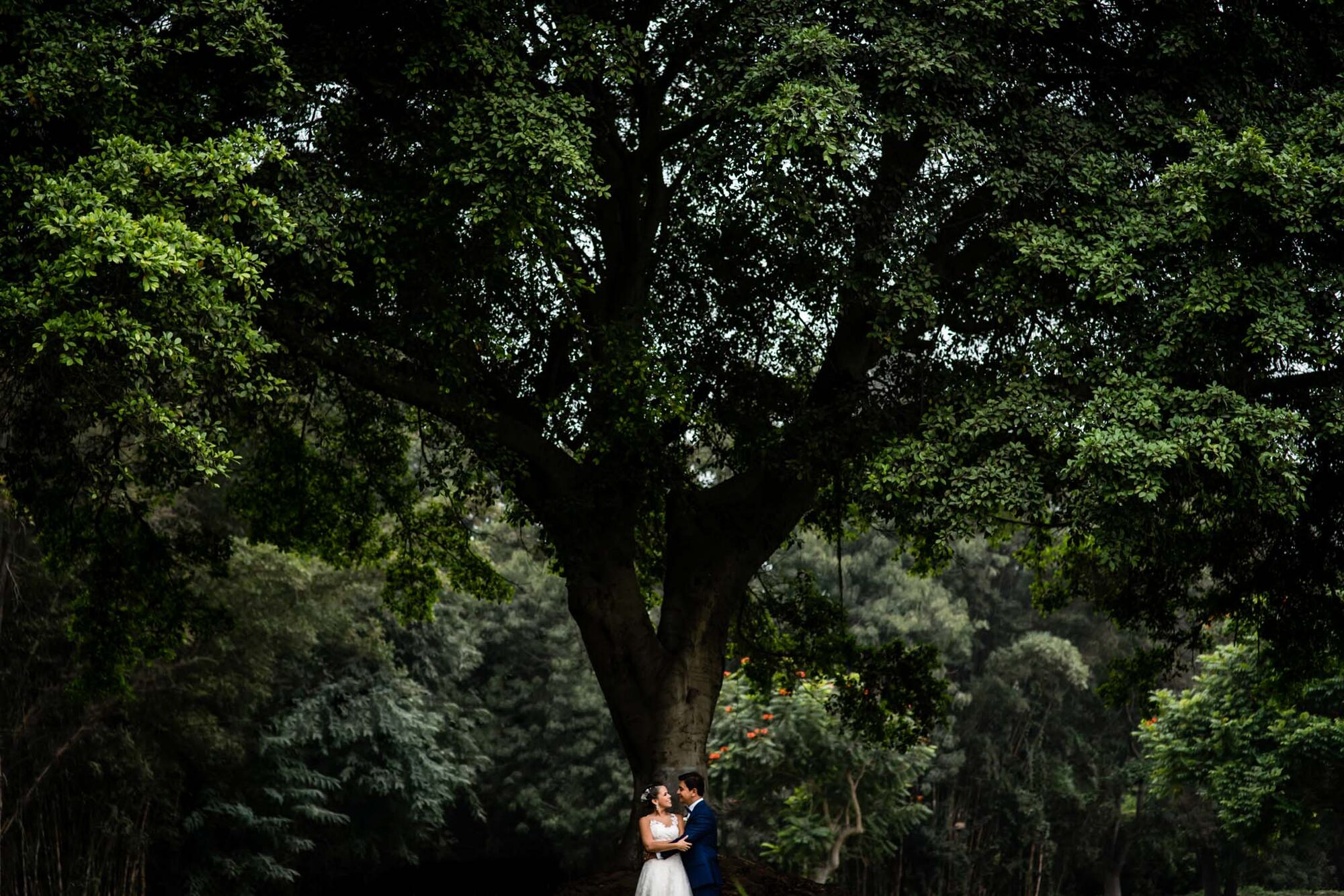 Fiore y Alex — Lucia and Fer