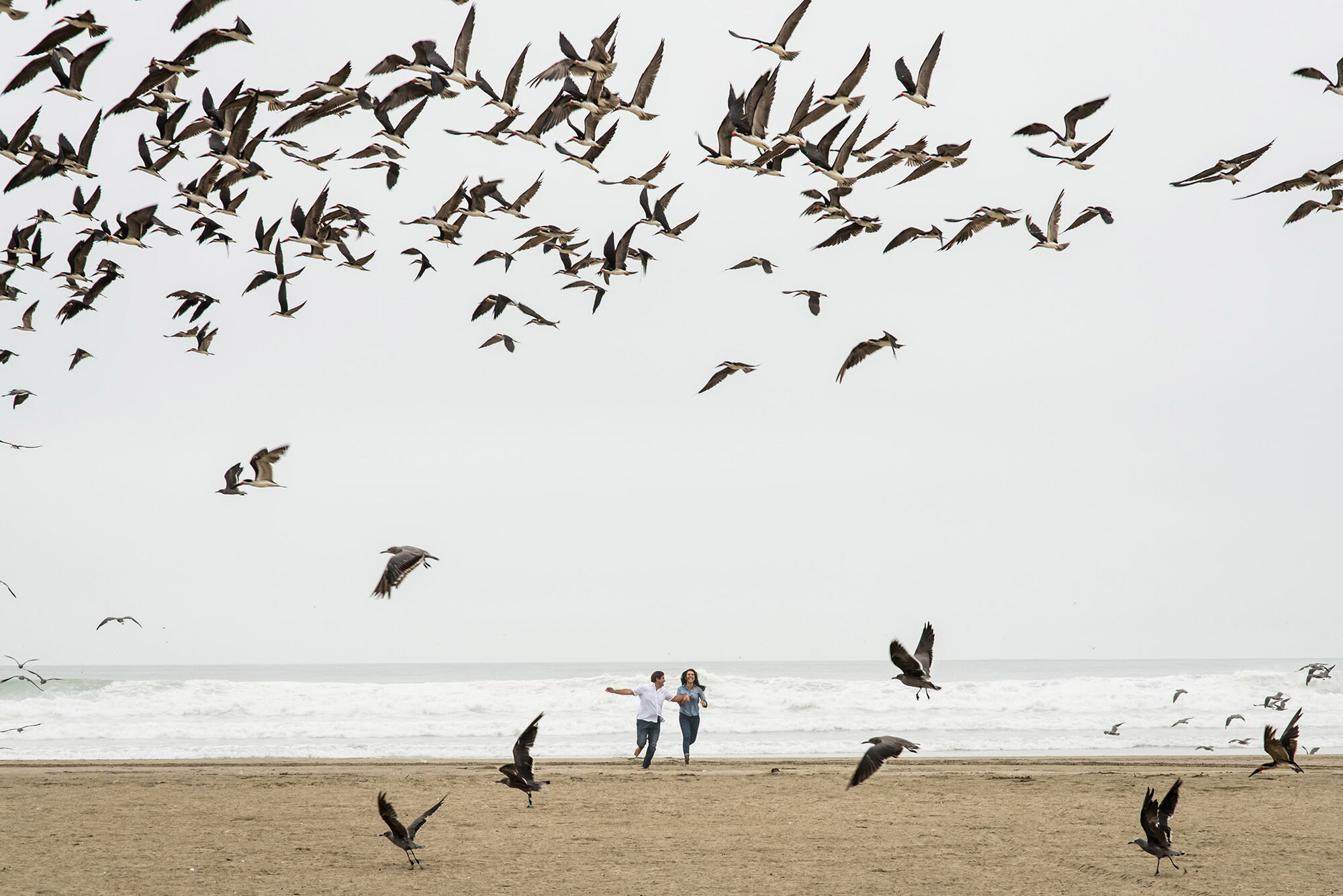 Luciana y Eduardo — Lucia and Fer